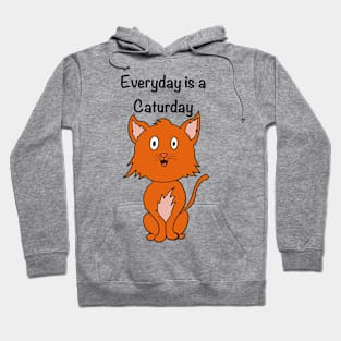 Everyday is a caturday Hoodie